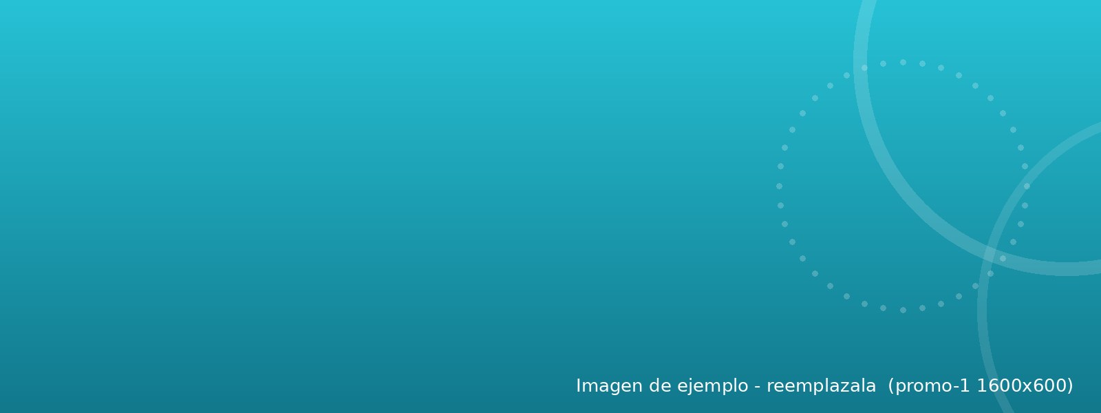 Promoción 1